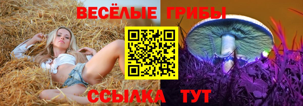 Галлюциногенные грибы мухоморы  Псилоцибиновые грибы Psilocybe  Вход с VPN  Нягань 