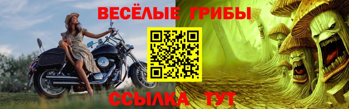 Галлюциногенные грибы ЛСД Нягань
